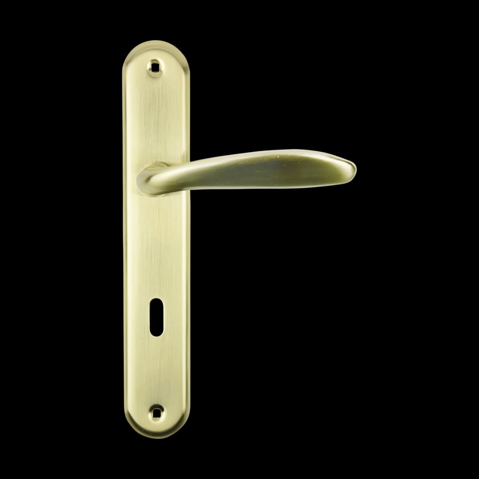 SET MÂNER PLACĂ ROTUNDĂ PENTRU UȘĂ INTERIOARĂ BRASS Α1243, FF GROUP
