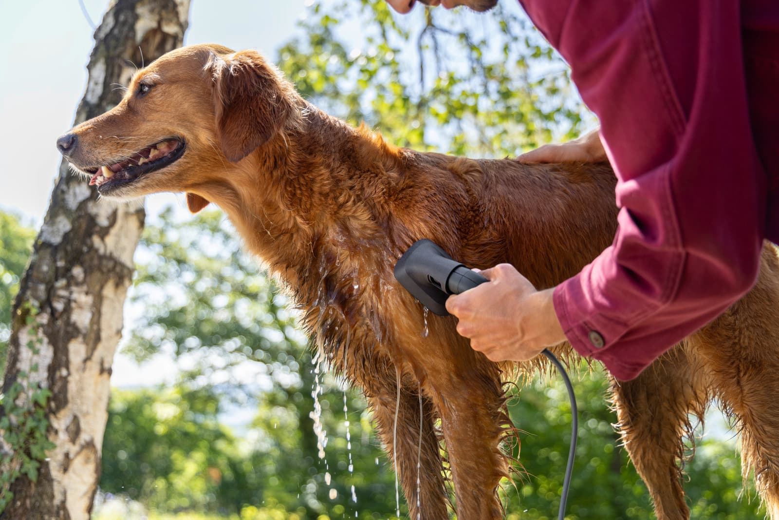 Washing brush pet 4