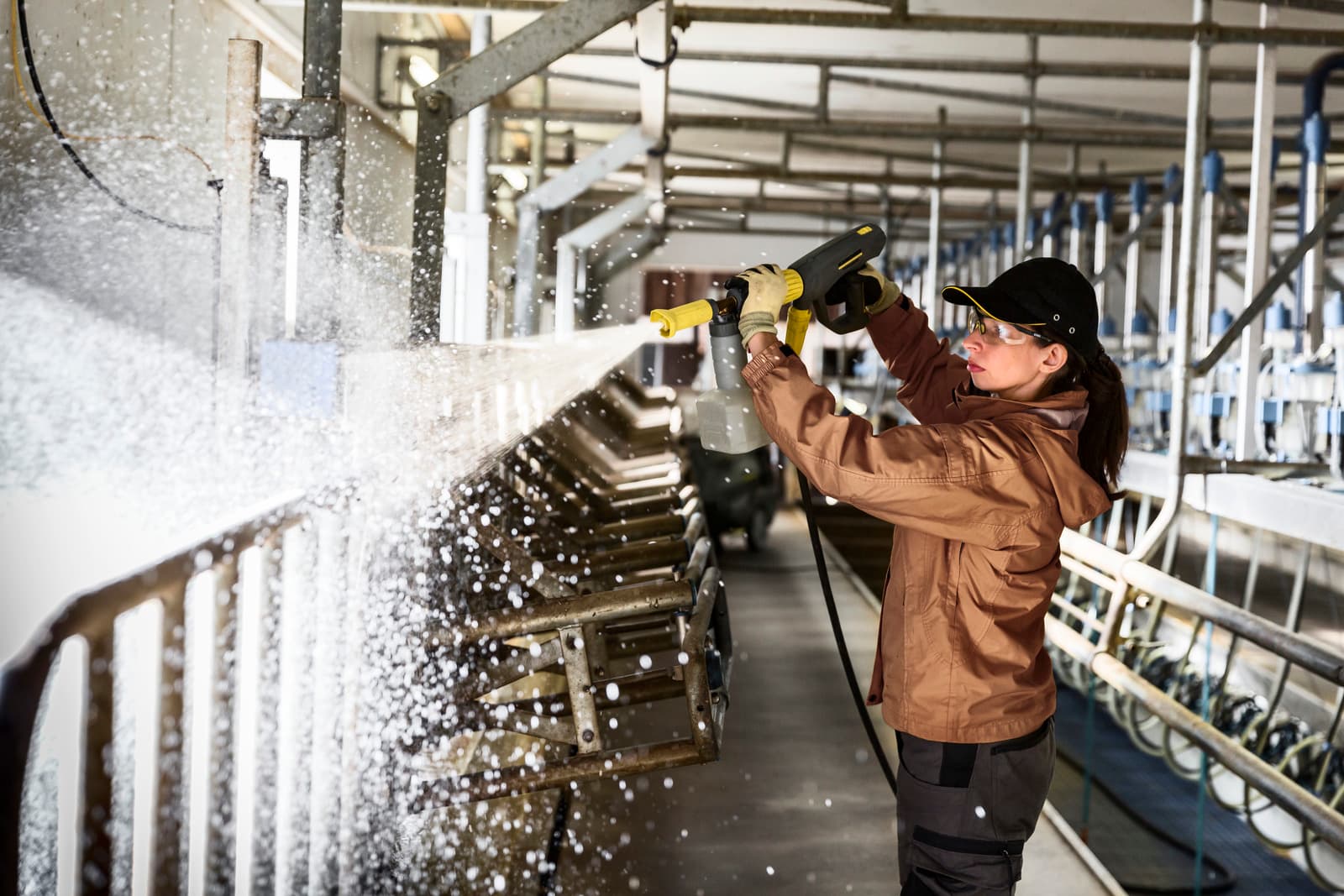 RM 91 Agri** 10l Foam Cleaner, alkaline 2