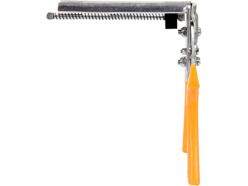 vorel-49840 2
